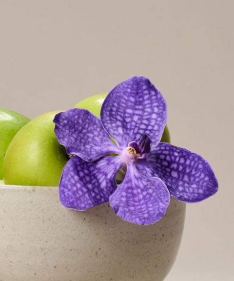 Frutero de Barro Esmaltado con Manzanas y Orquídea – Unelefante + Priscila Alaniz