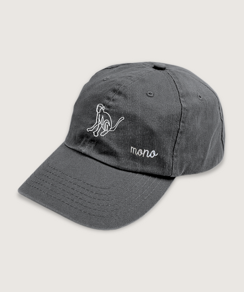 gorra