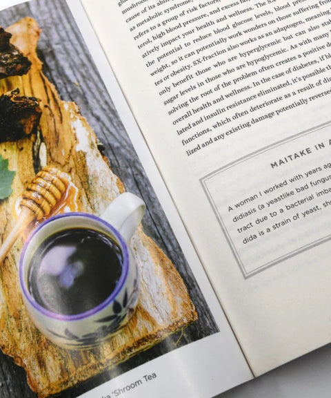 Libro Healing Mushrooms: A Practical & Culinary Guide