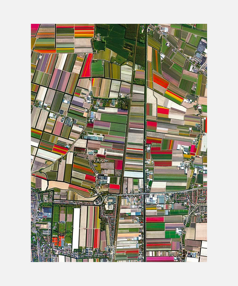 Rompecabezas “Tulipanes desde el Cielo” – Overview, 1000 Piezas