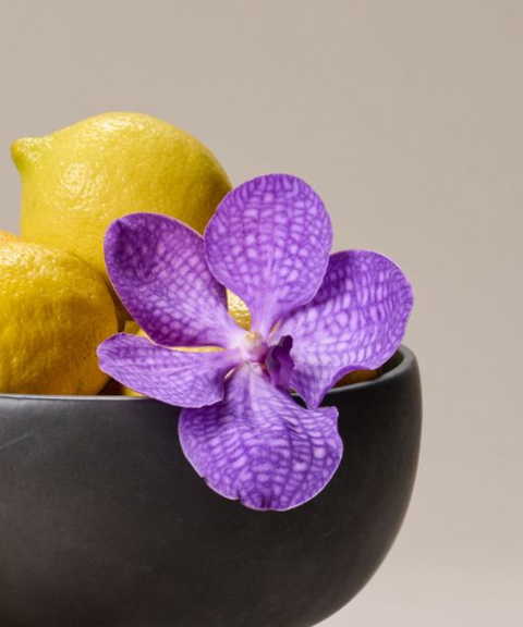 Frutero de Barro Negro con Limones y Orquídea – Unelefante + Priscila Alaniz
