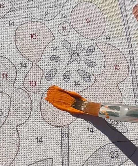 Kit de Regalo "Paint by Numbers" Flores Craftoria