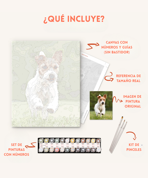 Kit de Regalo "Paint by Numbers" Máscaras