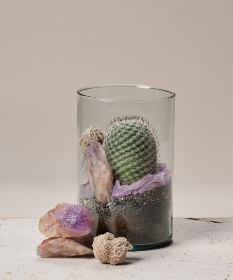Terrario con Cactus Biznaguita, Amatistas, Cuarzo y Rosa del Desierto