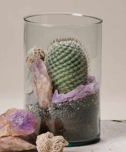 Terrario con Cactus Biznaguita, Amatistas, Cuarzo y Rosa del Desierto