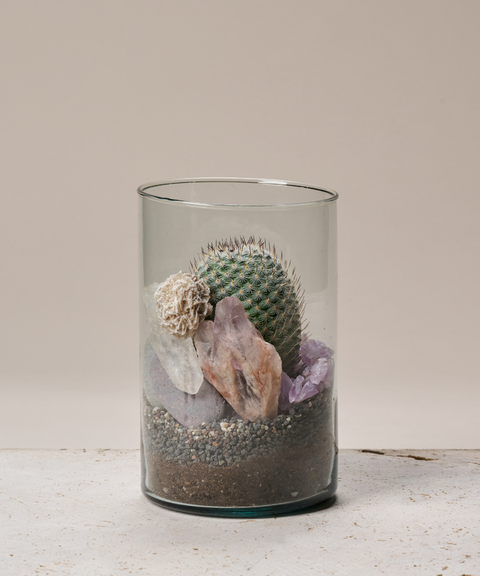 Terrario con Cactus Biznaguita, Amatistas, Cuarzo y Rosa del Desierto