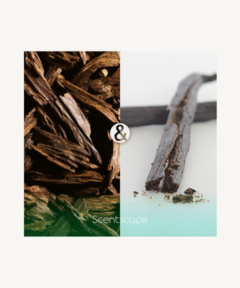 Oud Excelsa Caron Fragancia - Una Nuevo Fragancia Para Hombres Y