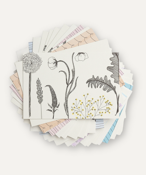The School of Life -  Deck de Cartas Kindness – Para Desarrollar Compasión y Empatía