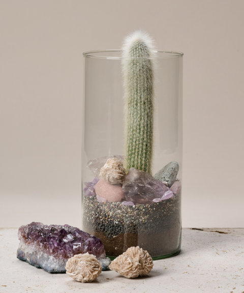 Terrario con Cactus Antorcha de Plata, Amatistas, Cuarzo y Rosa del Desierto