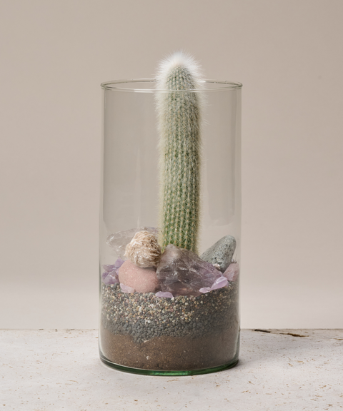 Terrario con Cactus Antorcha de Plata, Amatistas, Cuarzo y Rosa del Desierto