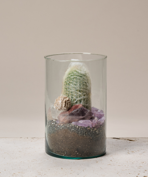 Terrario con Cactus Viejo del Perú, Amatistas, Cuarzo y Rosa del Desierto