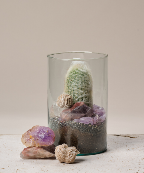 Terrario con Cactus Viejo del Perú, Amatistas, Cuarzo y Rosa del Desierto