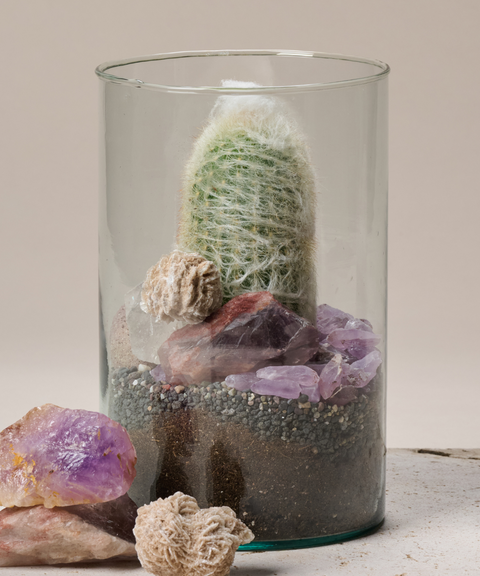 Terrario con Cactus Viejo del Perú, Amatistas, Cuarzo y Rosa del Desierto