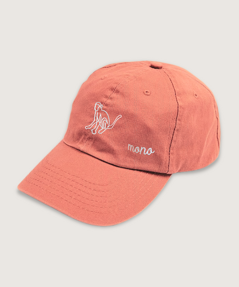 gorra