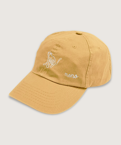 gorra