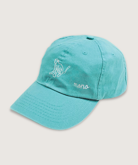 gorra