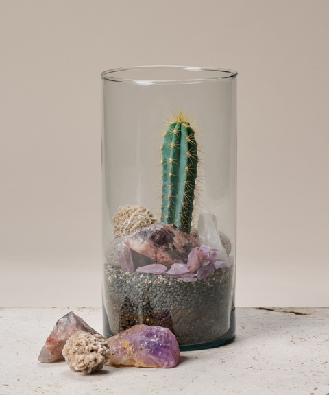 Terrario con Cactus Azul, Amatistas, Cuarzo y Rosa del Desierto (Copy)