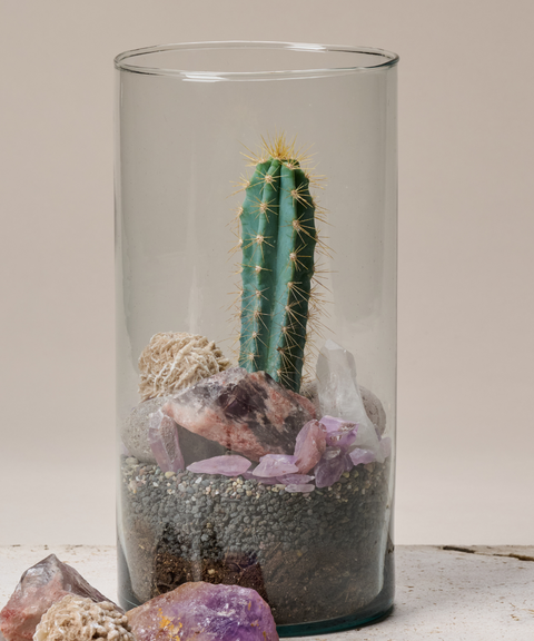 Terrario con Cactus Azul, Amatistas, Cuarzo y Rosa del Desierto (Copy)