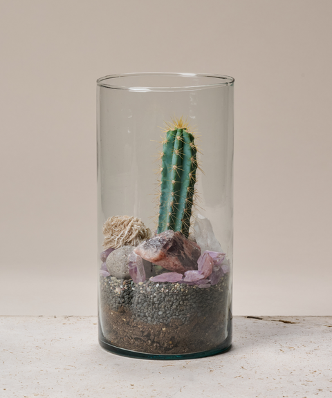 Terrario con Cactus Azul, Amatistas, Cuarzo y Rosa del Desierto (Copy)